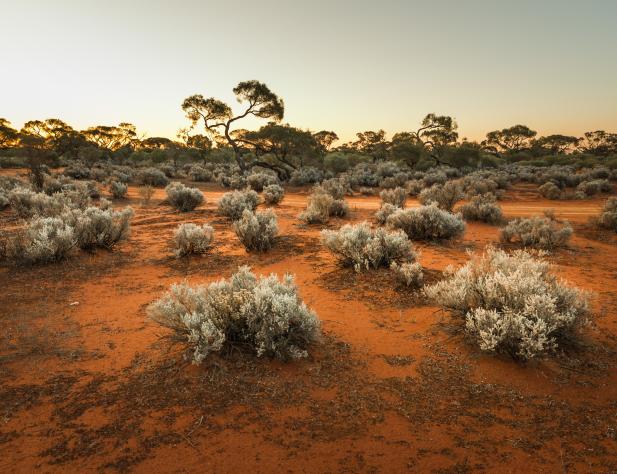 hort description of the image used by screen readers and displayed when the image is not loaded. This is important for accessibility.